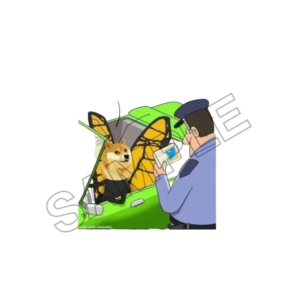 twiiter dogecoin sample image png