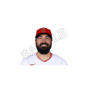 Anthony Rendon sample image png