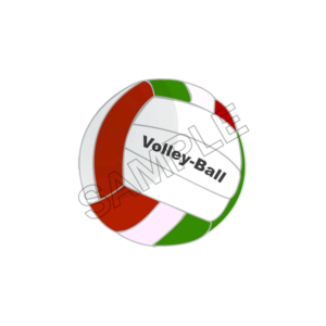 volleyball  sample image png