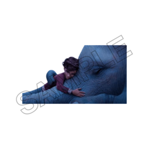 The Magician Elephant sample image png