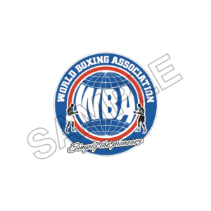 boxing sample image png