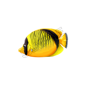 fish sample image png