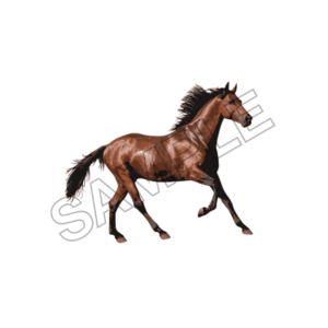 horse sample image png