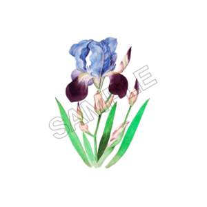 flowers sample image png