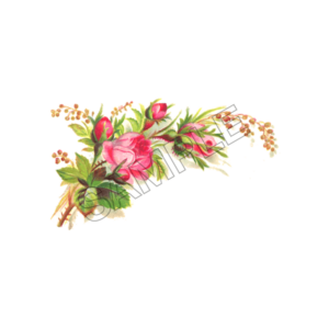 flowers sample image png