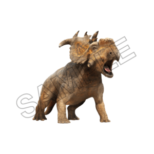 dinosaur sample image png