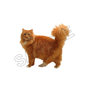 animals sample image png