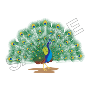 peacock sample image png