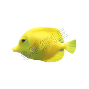 fish sample image png