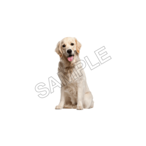 pets sample image png