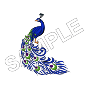 peacock sample image png