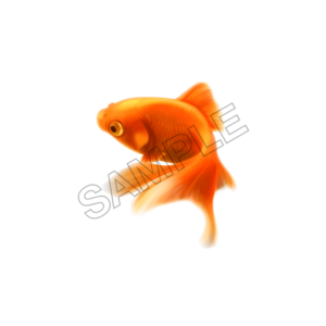 fish sample image png