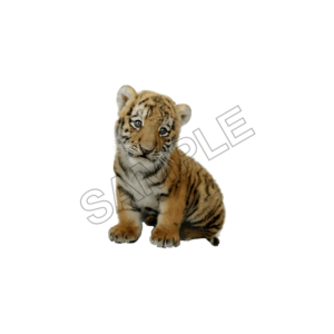 animals sample image png