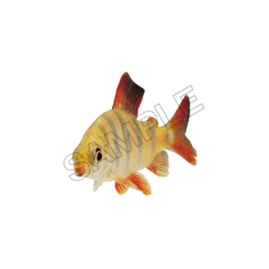 fish sample image png