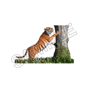 animals sample image png