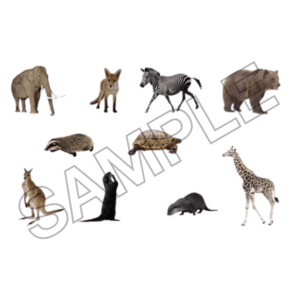 animals sample image png