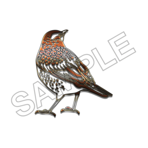 starling bird sample image png