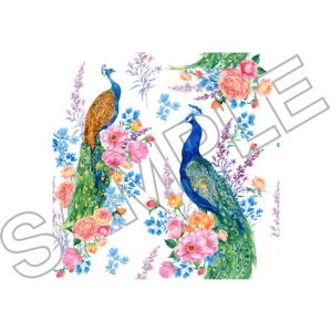 peacock sample image png