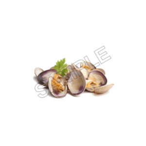 cocles sample image png