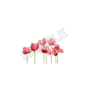 flowers sample image png