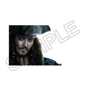 famous actors and singers sample image png