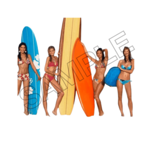 summer beach sample image png