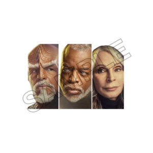 star trek picard  sample image png