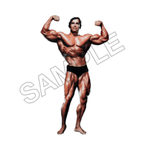 arnold schwarzenegger sample image png