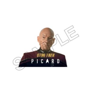 star trek picard  sample image png