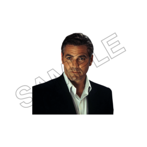 famous actors and singers sample image png