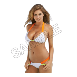 summer bikini girls sample image png