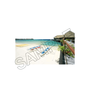 tahiti beach and people and casa sample image png