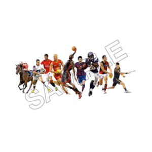 sport and summer activities sample image png