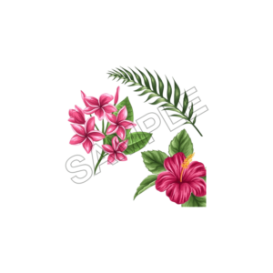 tahiti summer sample image png