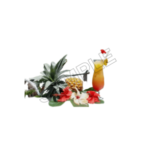 tahiti drink and coctails sample image png