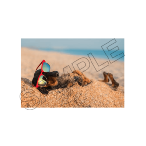 relax and fun summer sample image png