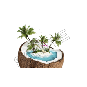 summer vacations sample image png