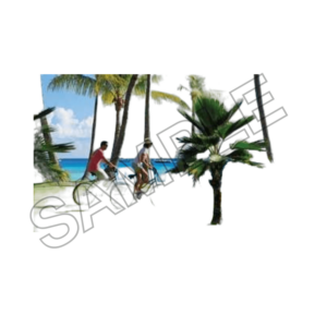 summer, tahiti, sample image png