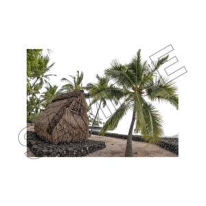 french polynesia  vacations sample image png