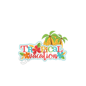 summer and vacations sample image png