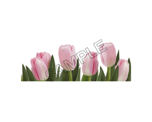 tulip punk color sample image png