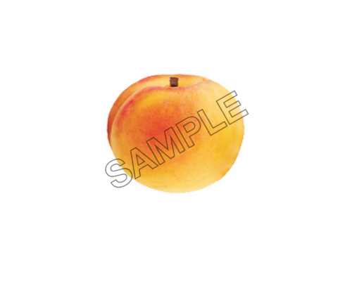 apricot mature sample image png