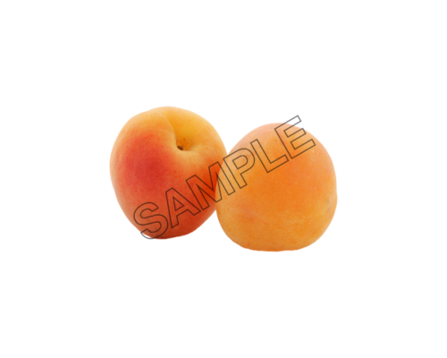 apricot pair sample image png