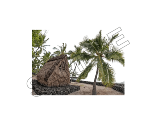 french polynesia vacations sample image png