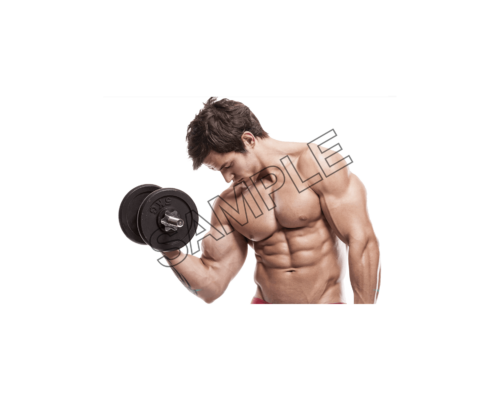 body building biceps sample image png