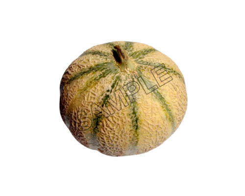 melon delightful sample image png