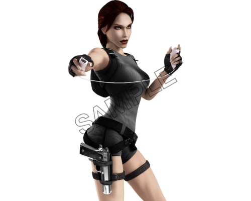 lara croft wire sample image png