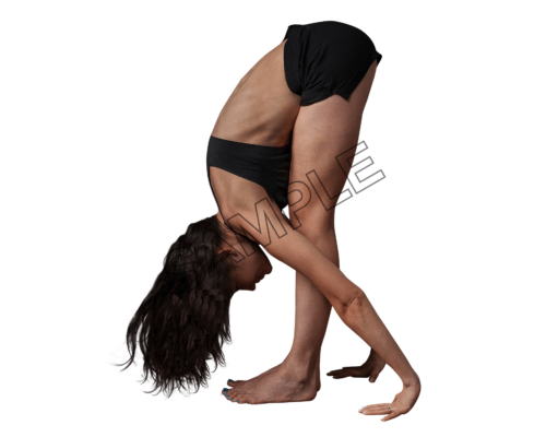 yoga stretching sample image png