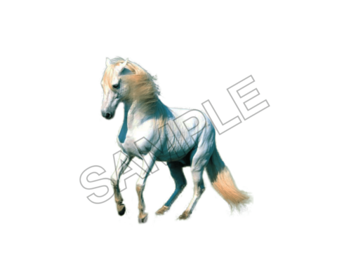 horse sample image png