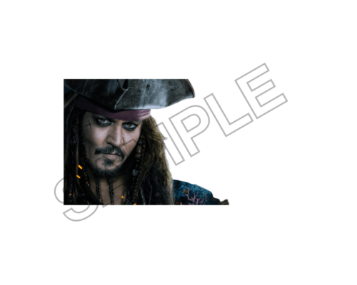 famous actors and singers sample image png